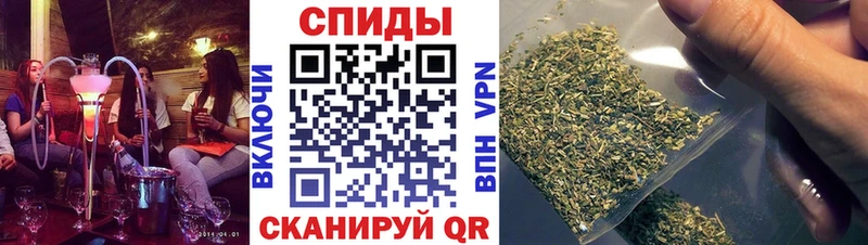 Бутират буратино  Людиново 