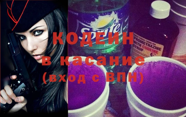 шишки Костерёво