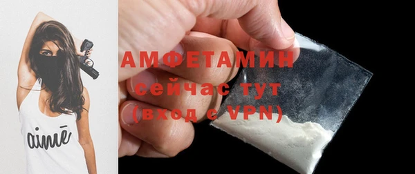шишки Костерёво