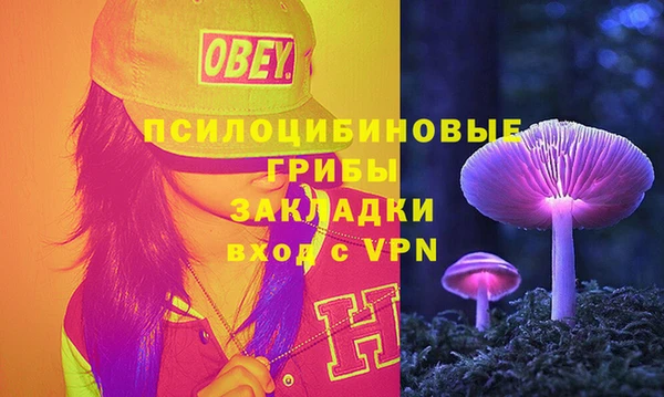 шишки Костерёво