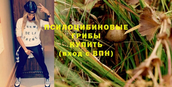 MESCALINE Коряжма