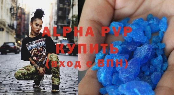 ПСИЛОЦИБИНОВЫЕ ГРИБЫ Козловка