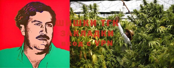 MESCALINE Коряжма