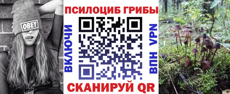 Галлюциногенные грибы Cubensis  Людиново 